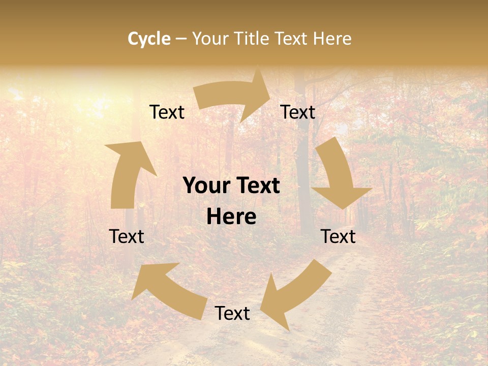 Color Fall Path PowerPoint Template