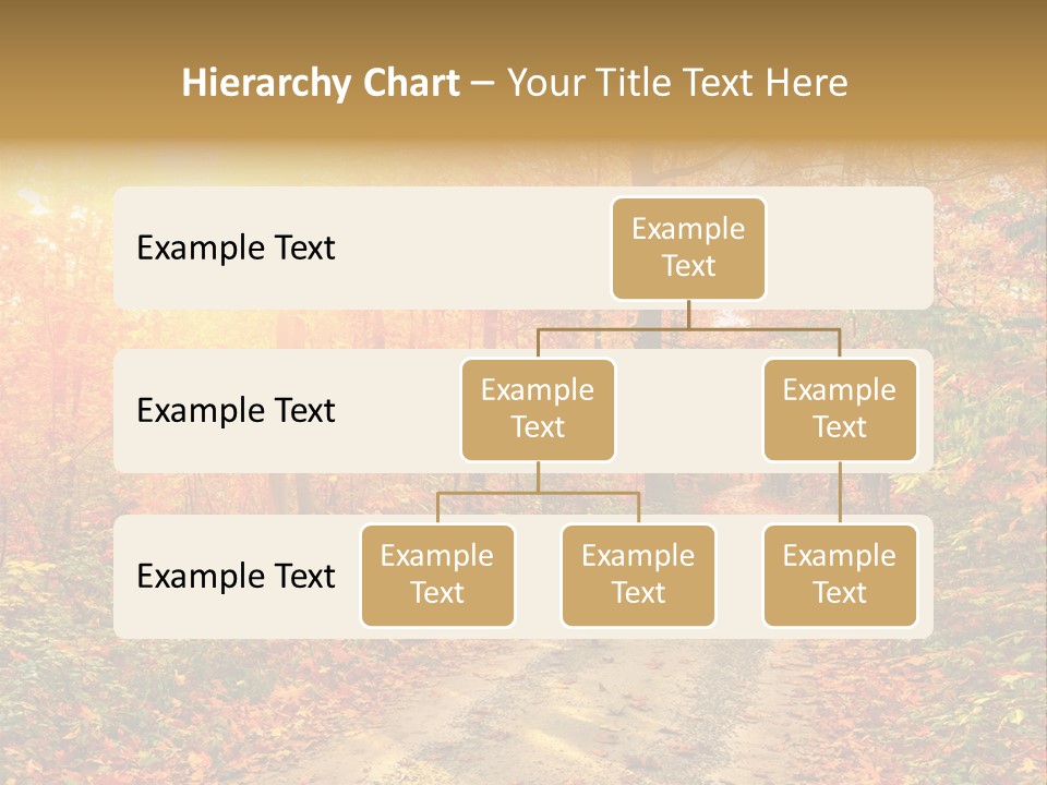 Color Fall Path PowerPoint Template