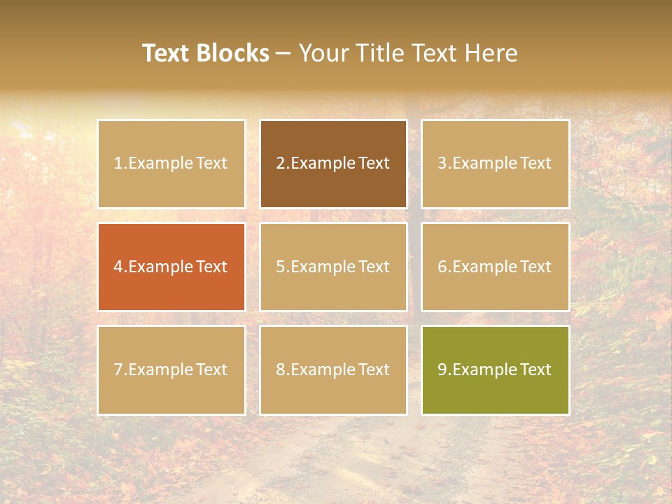 Color Fall Path PowerPoint Template