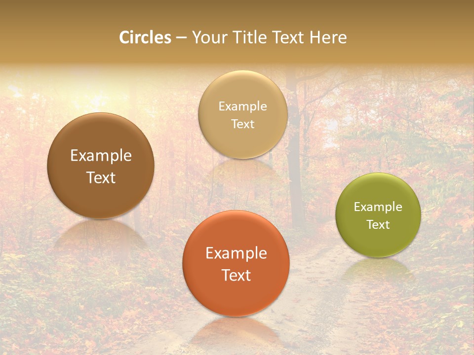 Color Fall Path PowerPoint Template
