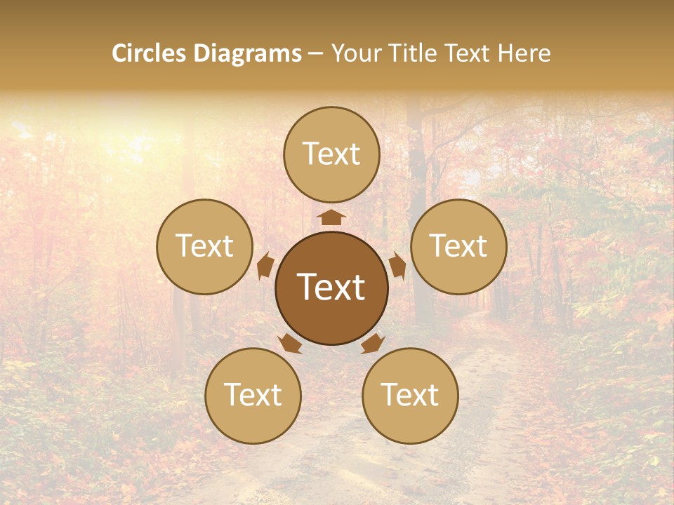 Color Fall Path PowerPoint Template