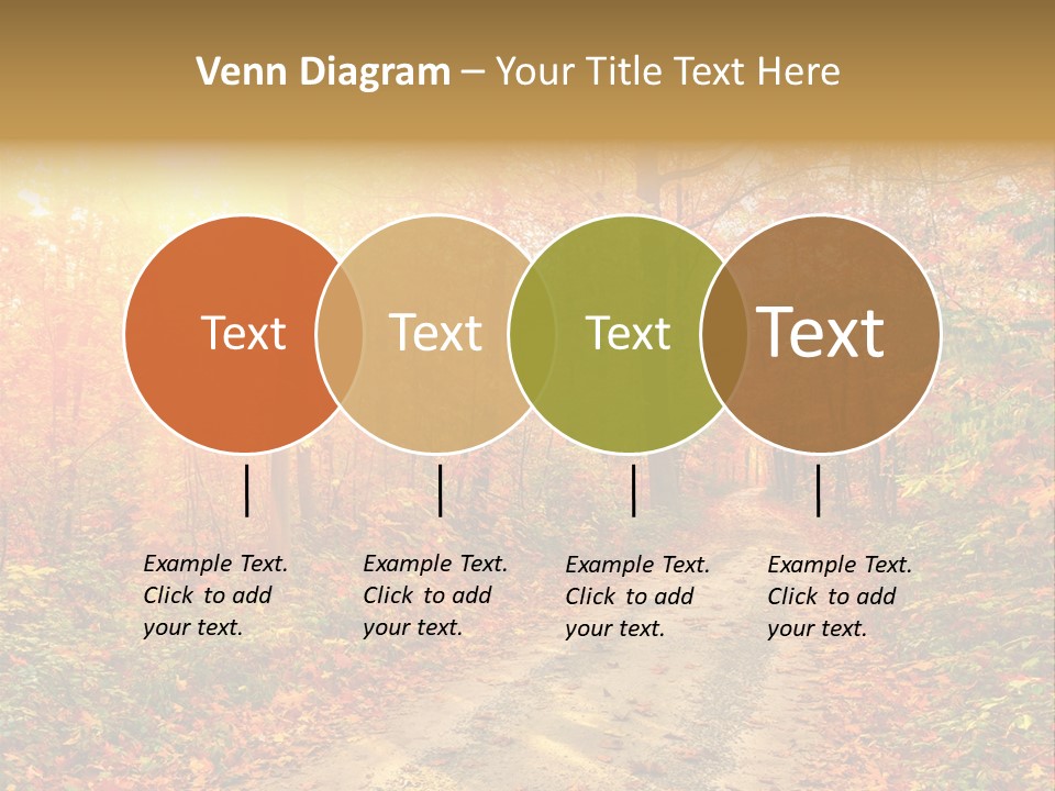 Color Fall Path PowerPoint Template