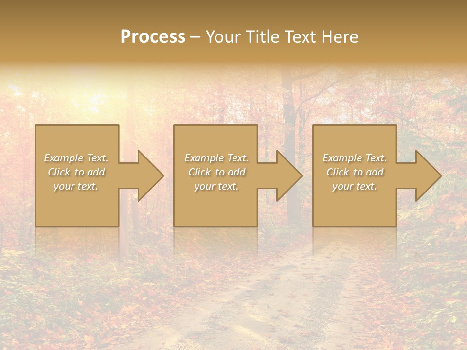 Color Fall Path PowerPoint Template