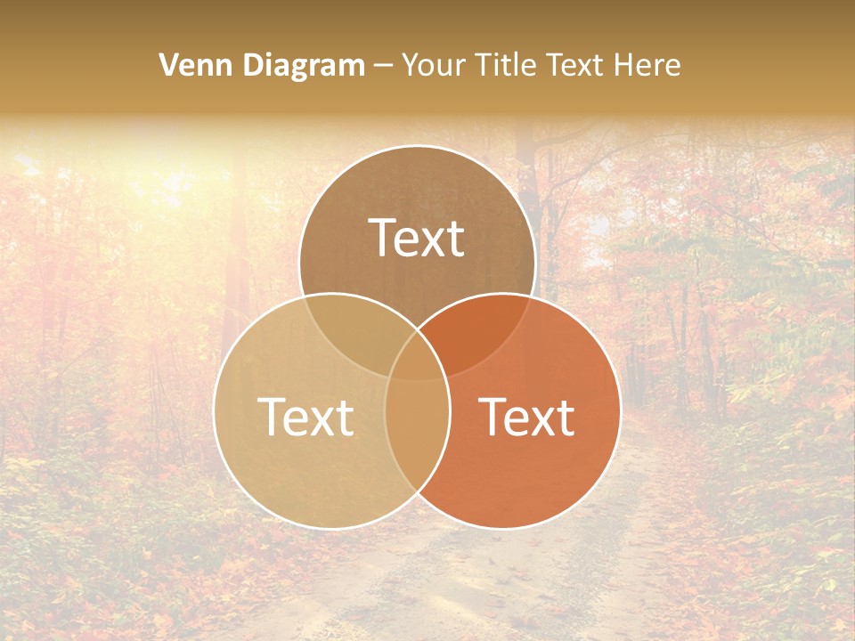 Color Fall Path PowerPoint Template