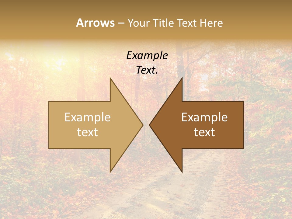Color Fall Path PowerPoint Template
