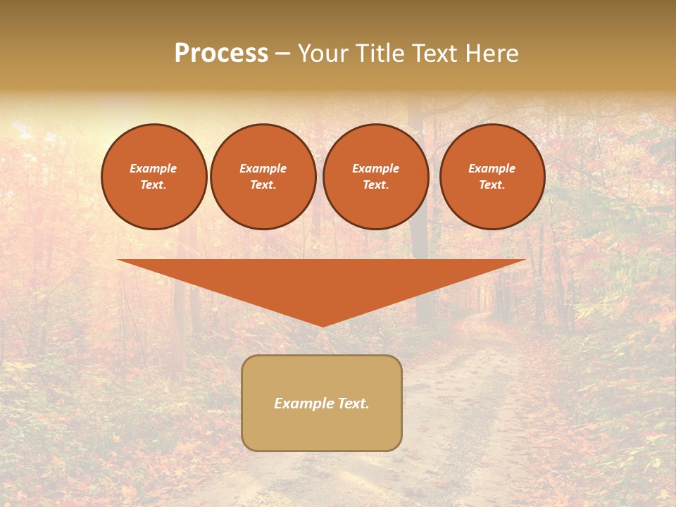 Color Fall Path PowerPoint Template