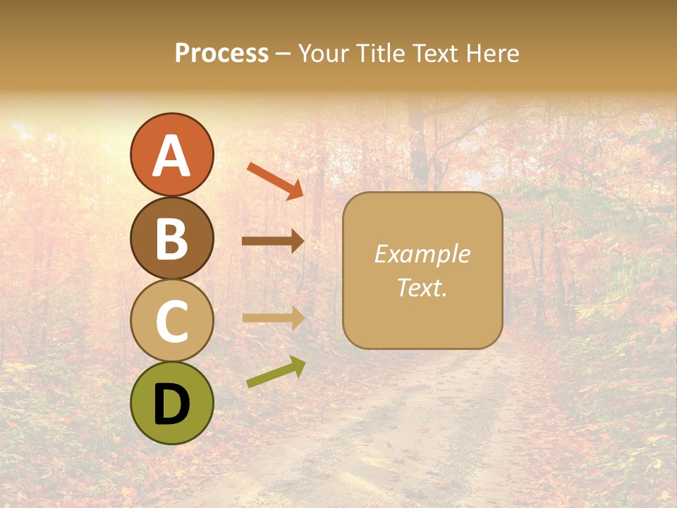 Color Fall Path PowerPoint Template
