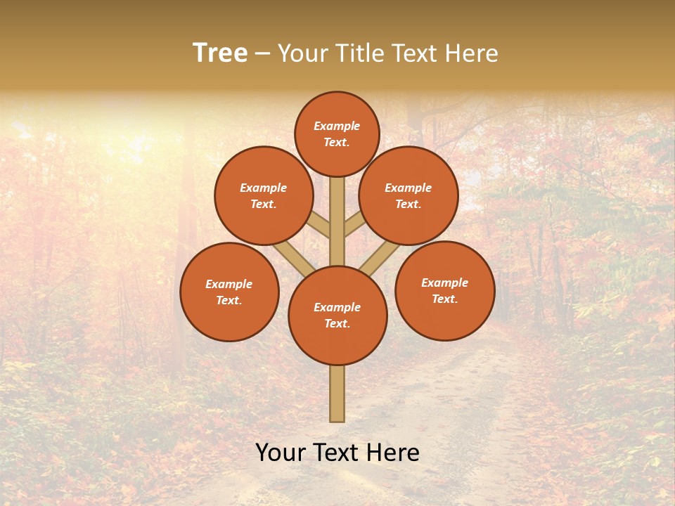 Color Fall Path PowerPoint Template