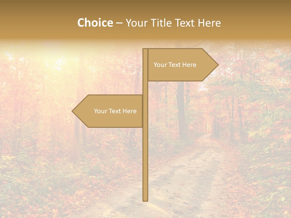 Color Fall Path PowerPoint Template