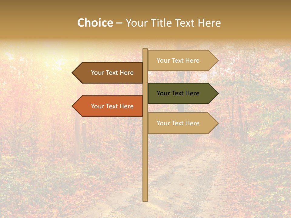 Color Fall Path PowerPoint Template