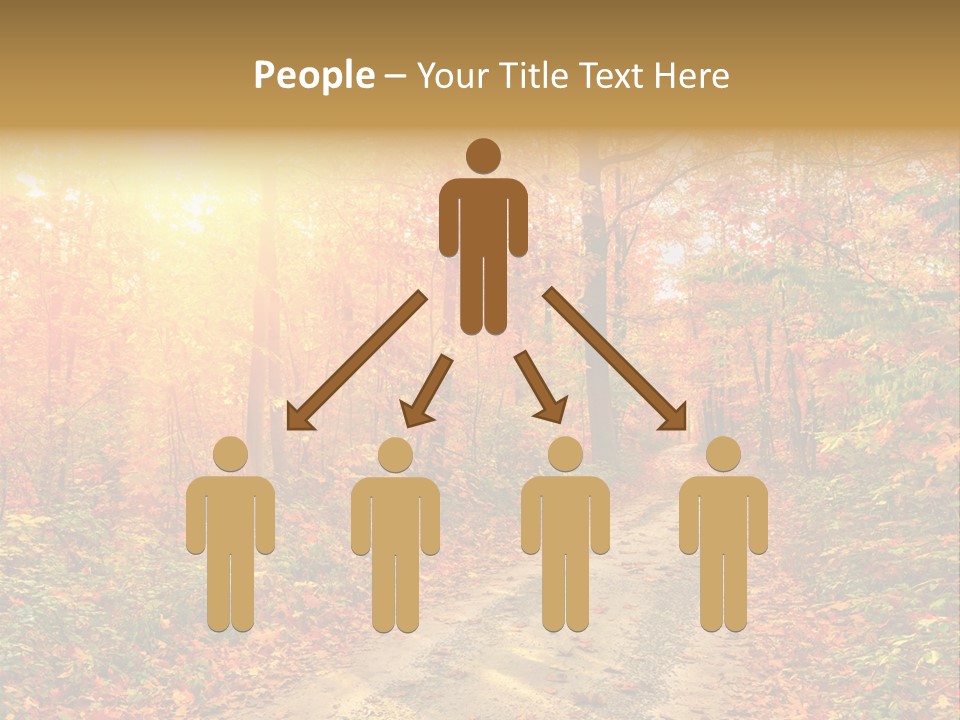 Color Fall Path PowerPoint Template