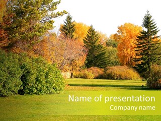 Copse Bushes Thicket PowerPoint Template