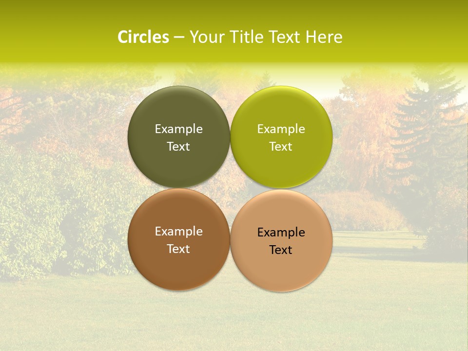 Copse Bushes Thicket PowerPoint Template