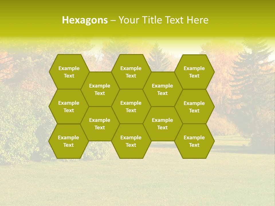 Copse Bushes Thicket PowerPoint Template