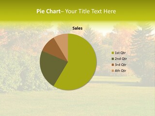 Copse Bushes Thicket PowerPoint Template