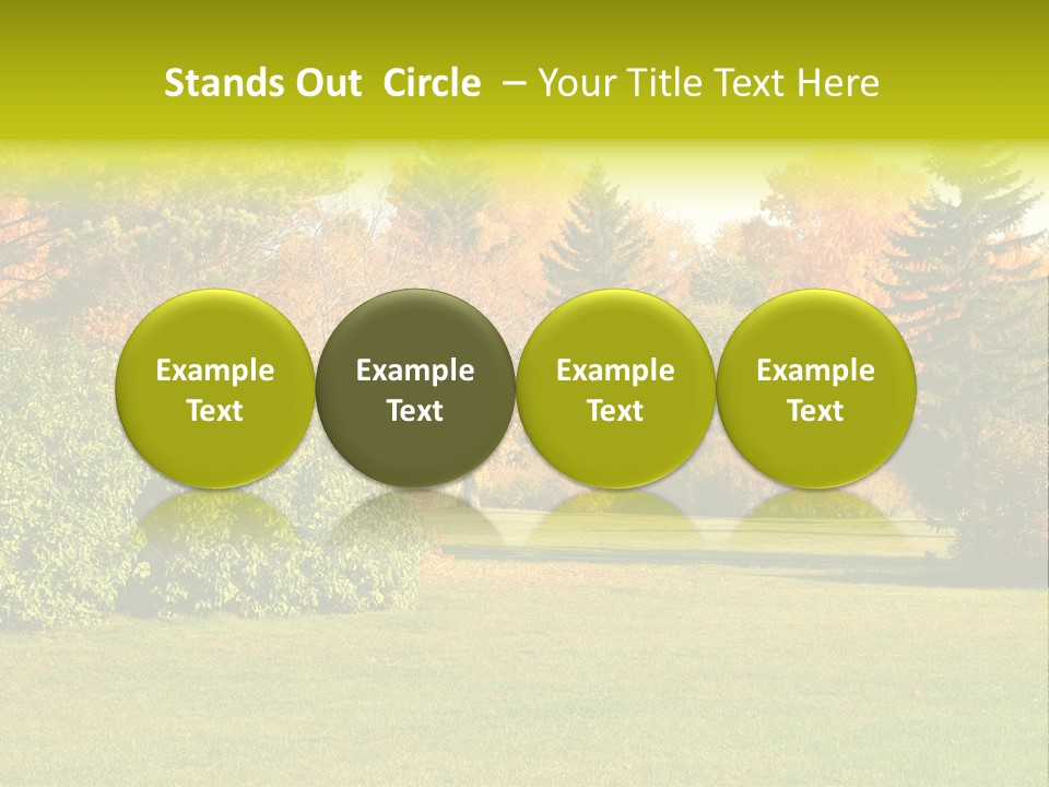 Copse Bushes Thicket PowerPoint Template