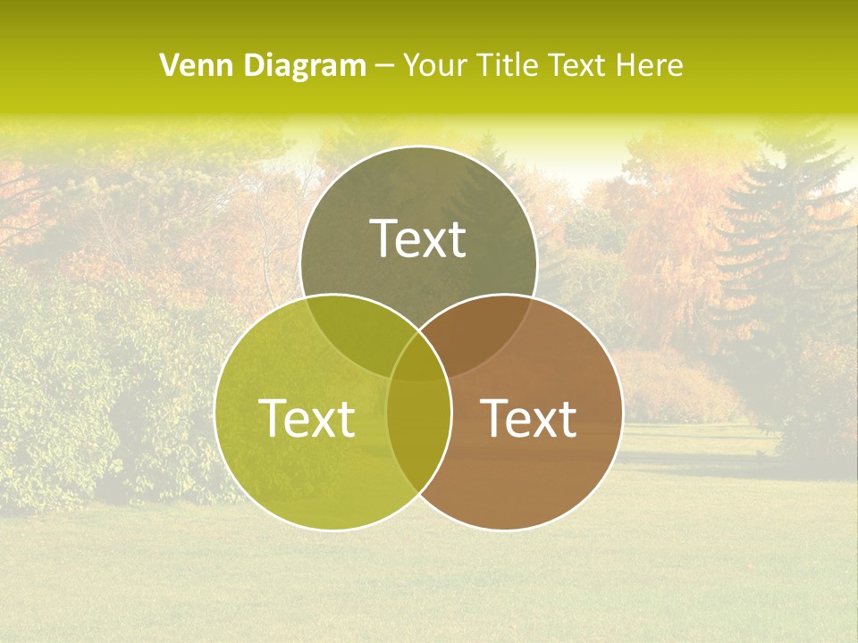 Copse Bushes Thicket PowerPoint Template