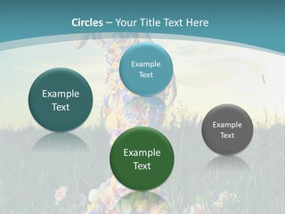 Standing Freedom Meadow PowerPoint Template