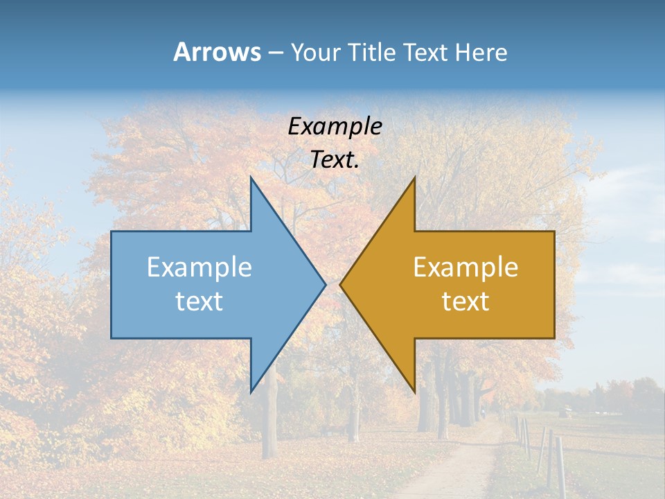 Foliage Sunlight Golden PowerPoint Template