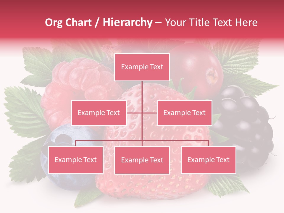 Wild Vitamin Collection PowerPoint Template