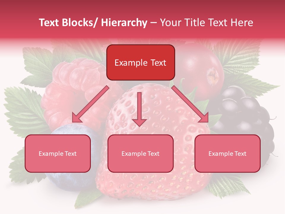 Wild Vitamin Collection PowerPoint Template