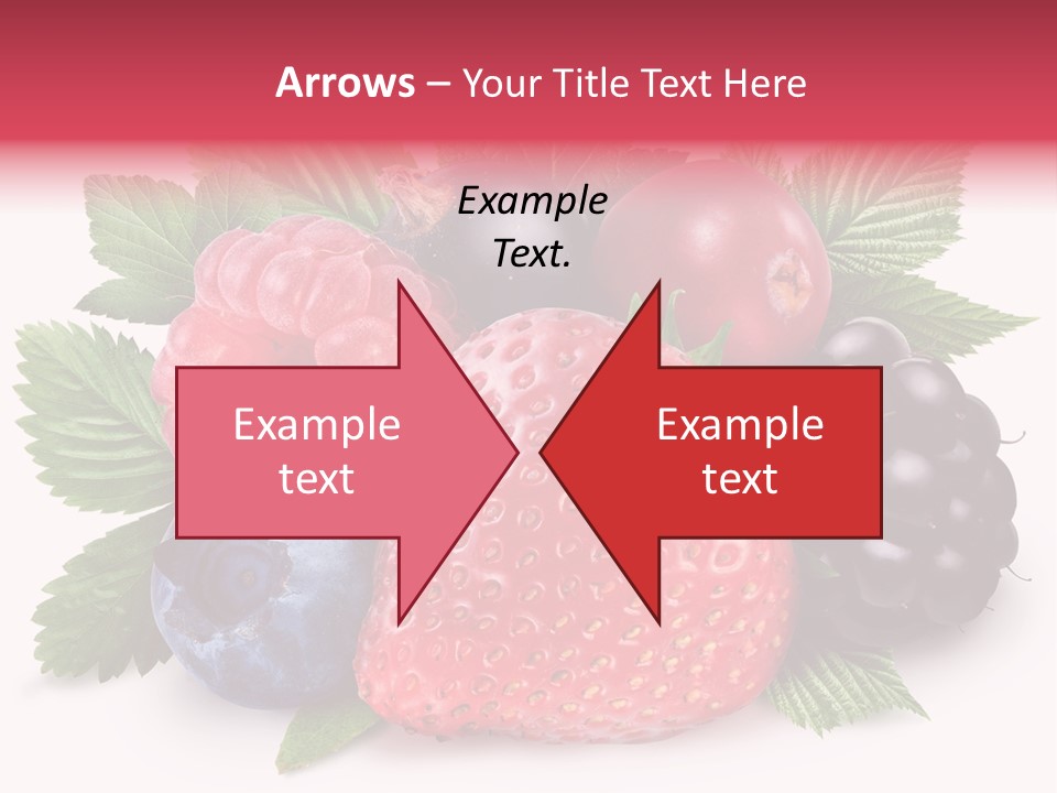 Wild Vitamin Collection PowerPoint Template