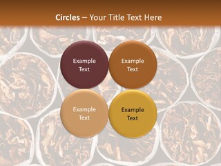 Poisonous Danger Pattern PowerPoint Template