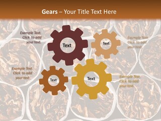 Poisonous Danger Pattern PowerPoint Template