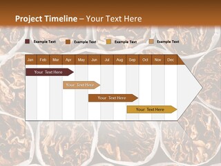 Poisonous Danger Pattern PowerPoint Template