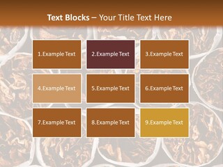 Poisonous Danger Pattern PowerPoint Template