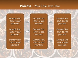 Poisonous Danger Pattern PowerPoint Template