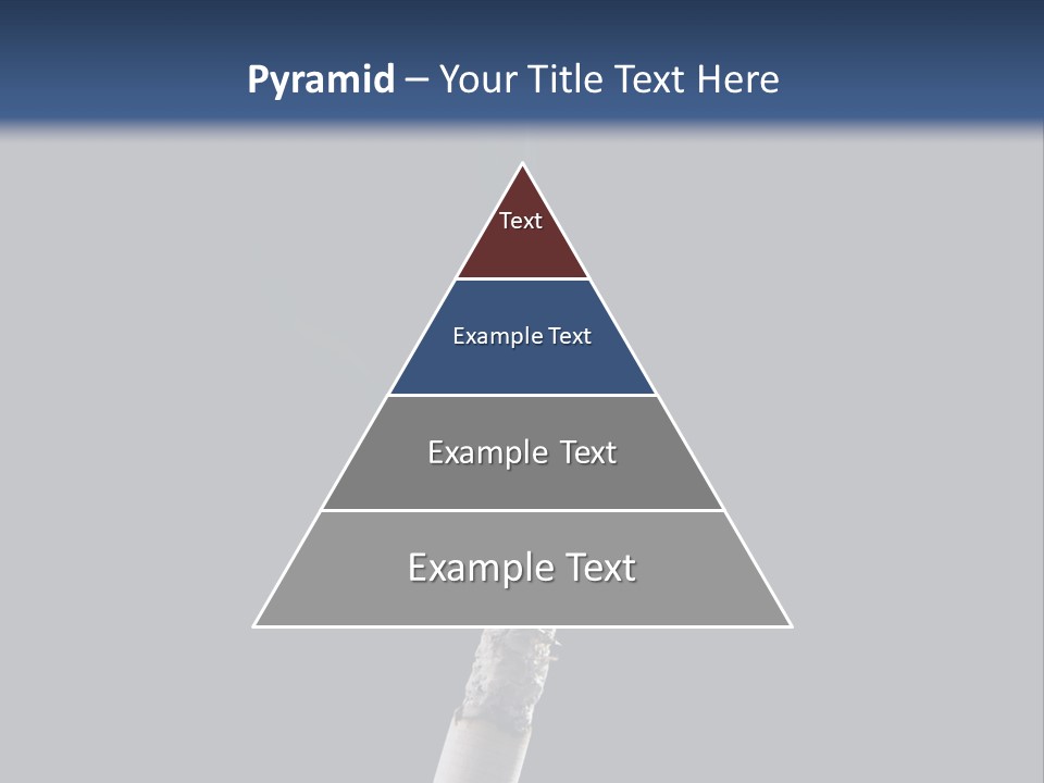 Product Black Health PowerPoint Template