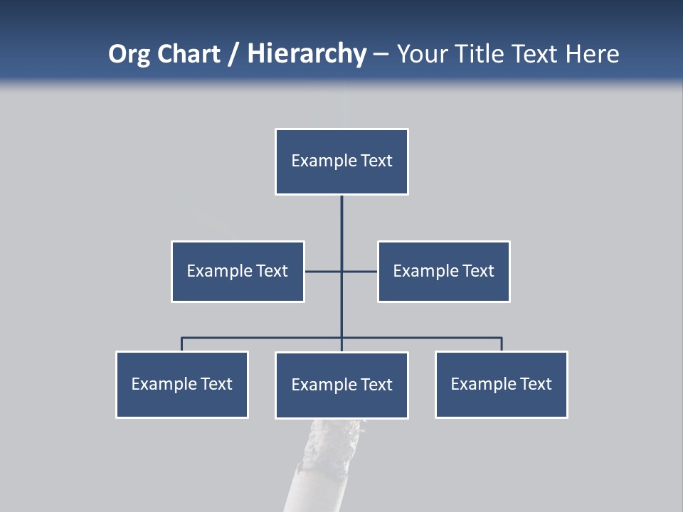 Product Black Health PowerPoint Template
