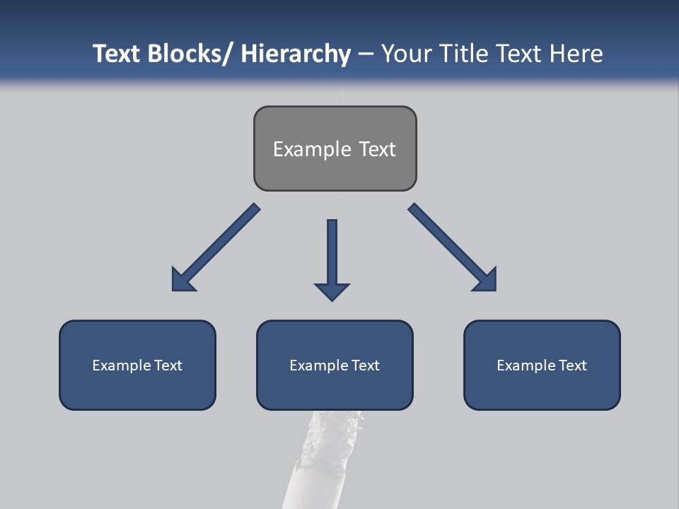 Product Black Health PowerPoint Template