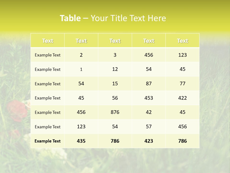 Fashion Concept Sky PowerPoint Template