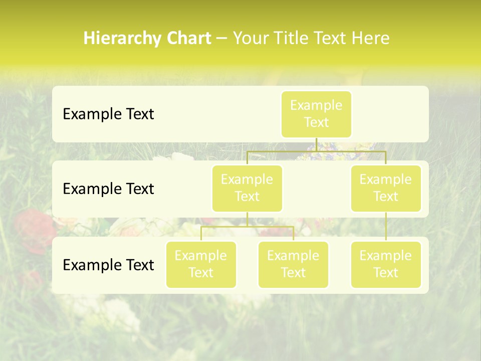 Fashion Concept Sky PowerPoint Template