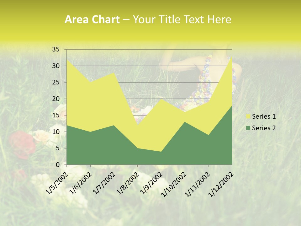 Fashion Concept Sky PowerPoint Template