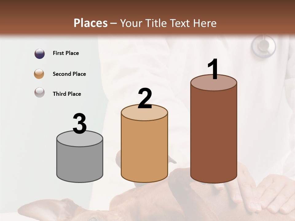 Vet Pet Man PowerPoint Template