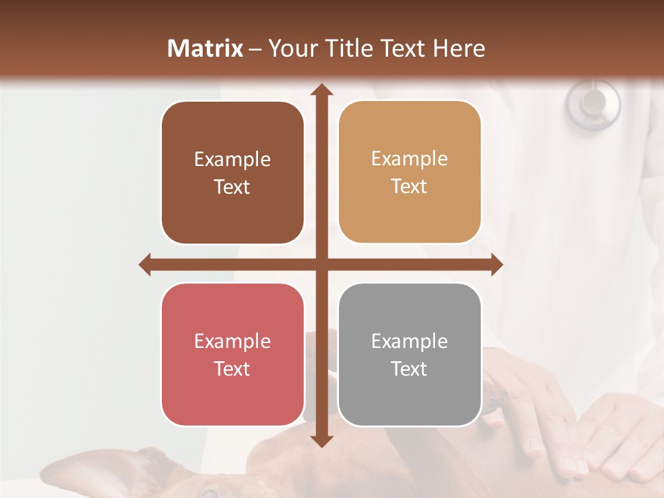 Vet Pet Man PowerPoint Template