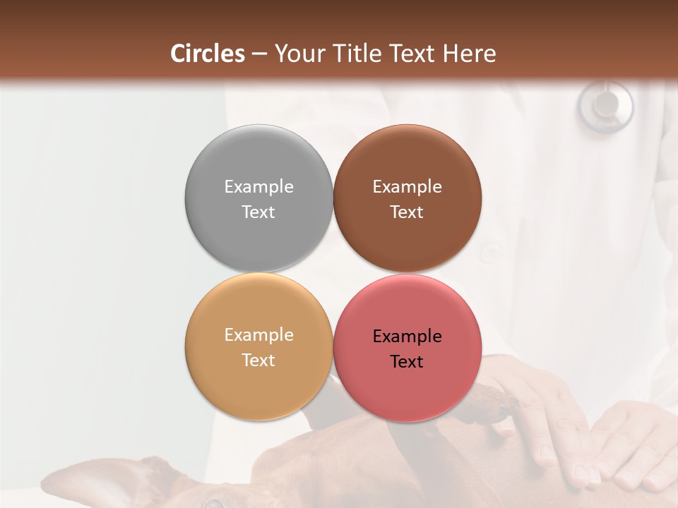 Vet Pet Man PowerPoint Template