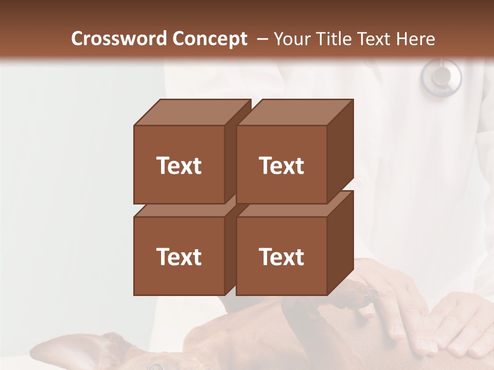 Vet Pet Man PowerPoint Template