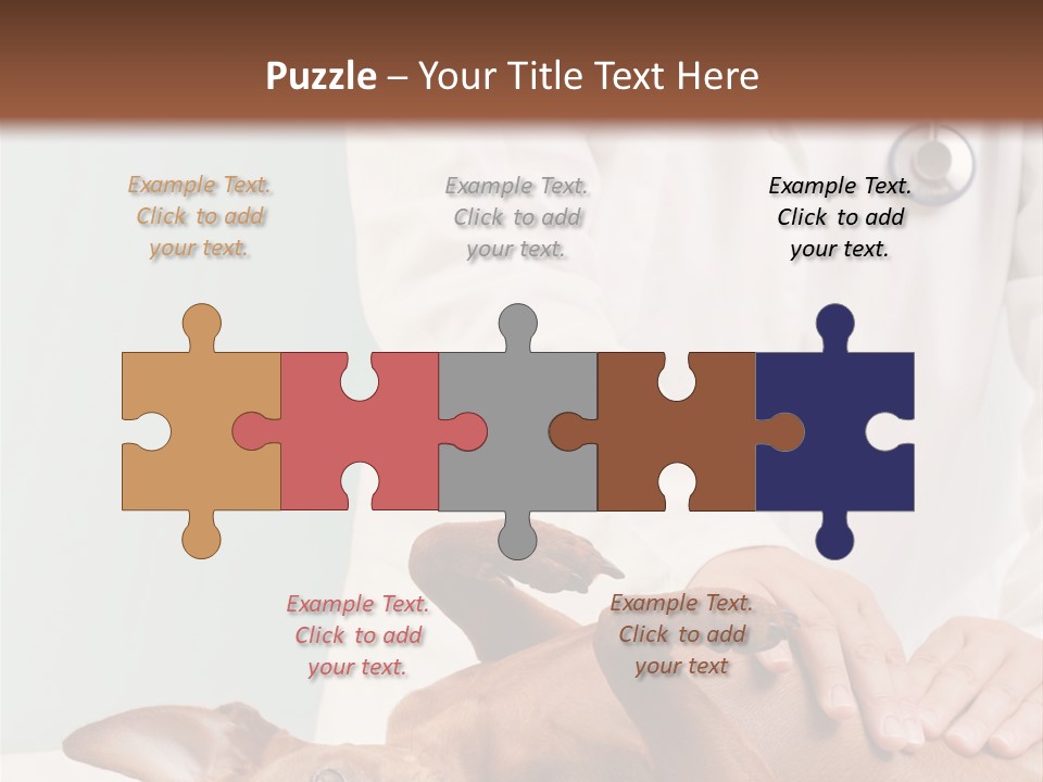 Vet Pet Man PowerPoint Template