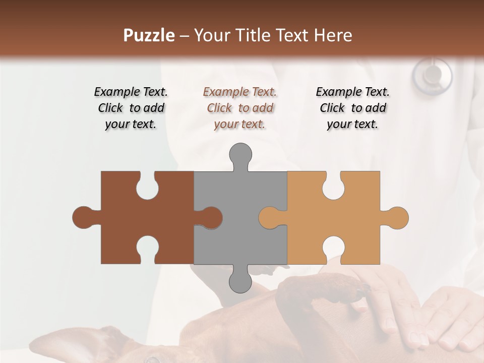 Vet Pet Man PowerPoint Template