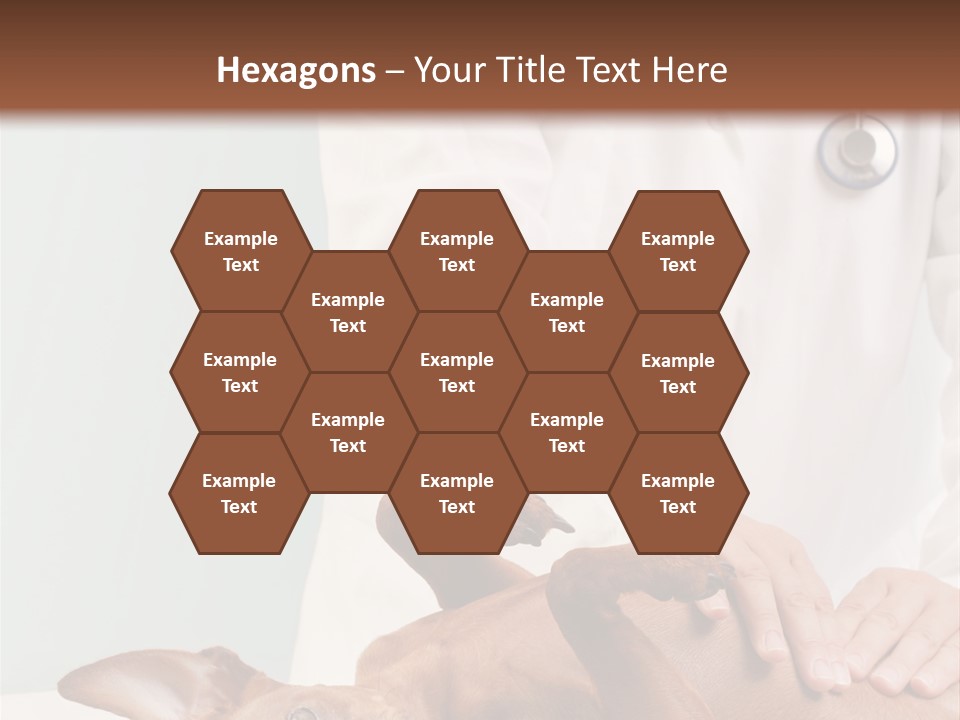 Vet Pet Man PowerPoint Template