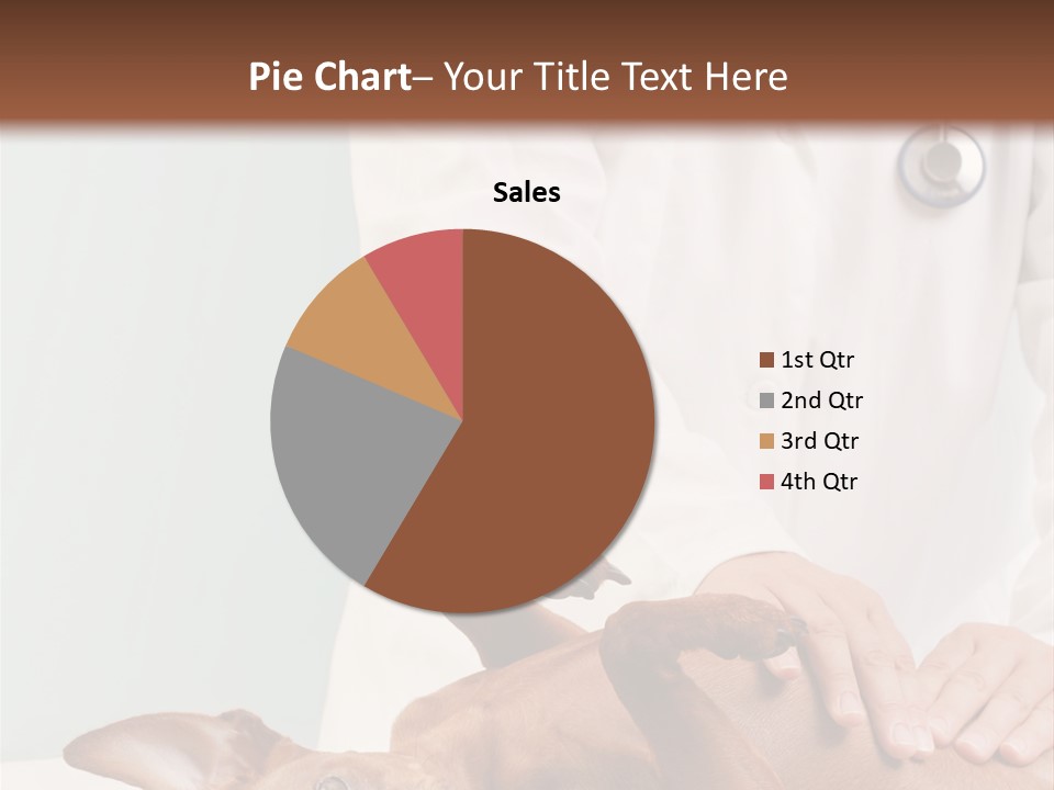 Vet Pet Man PowerPoint Template