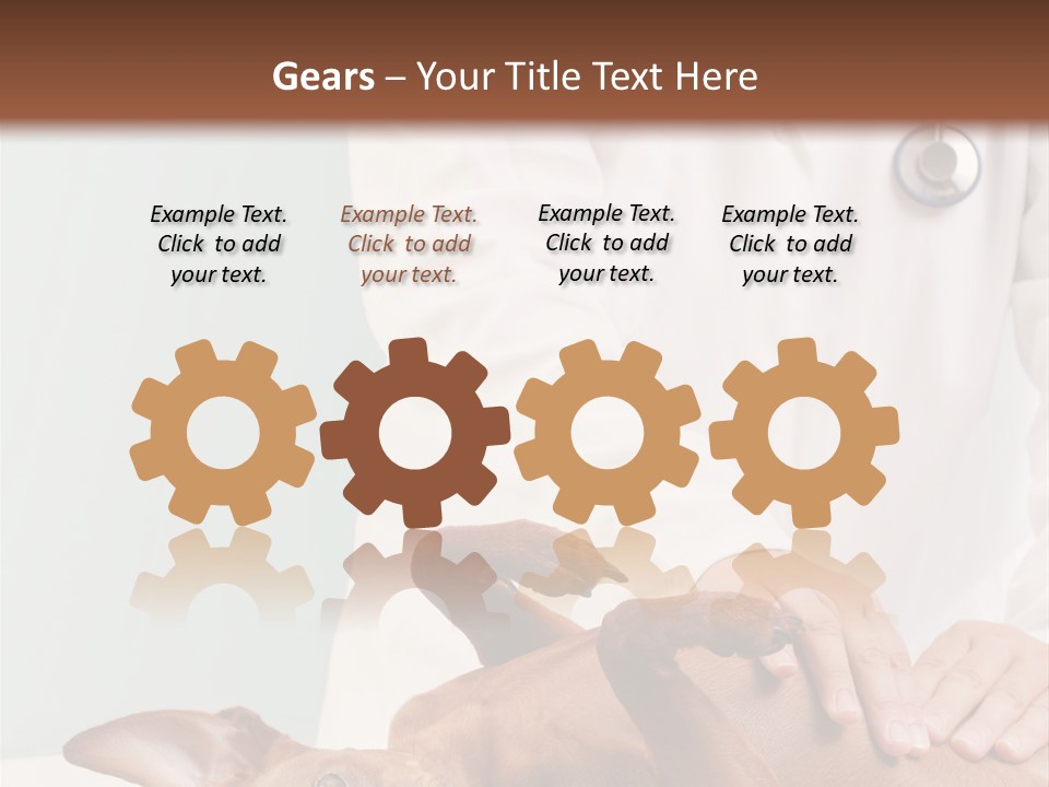 Vet Pet Man PowerPoint Template