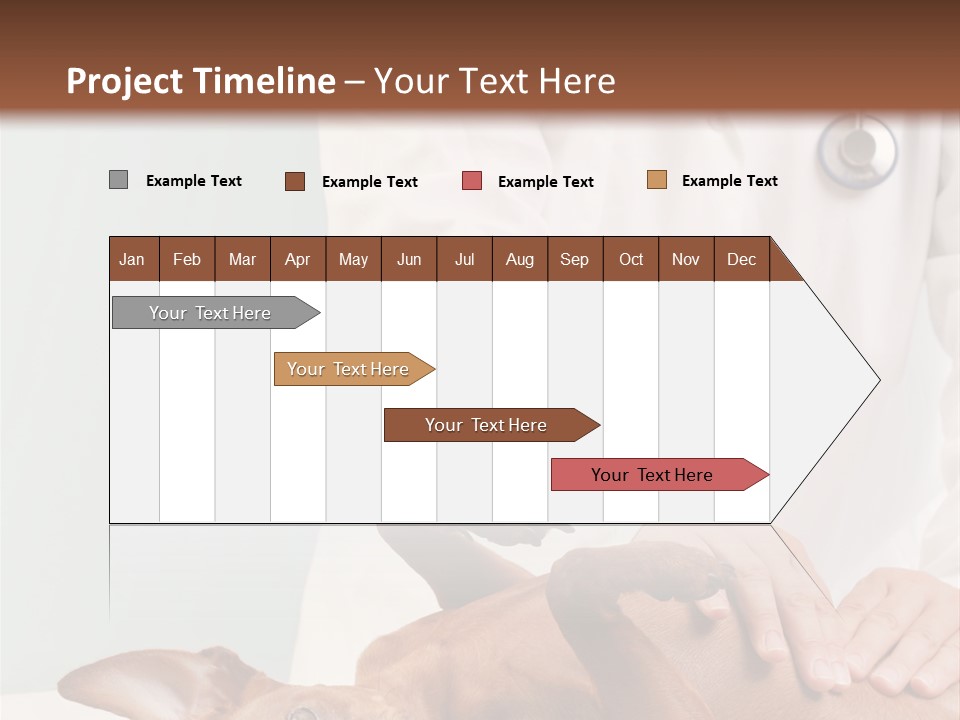 Vet Pet Man PowerPoint Template