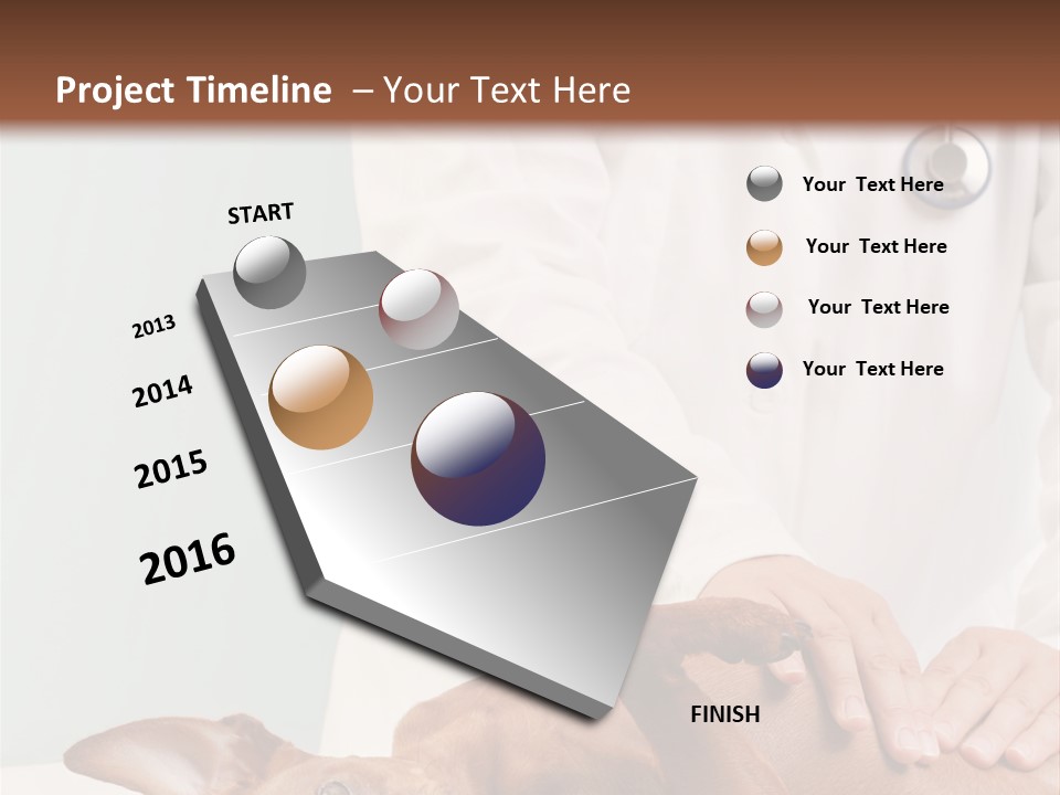 Vet Pet Man PowerPoint Template