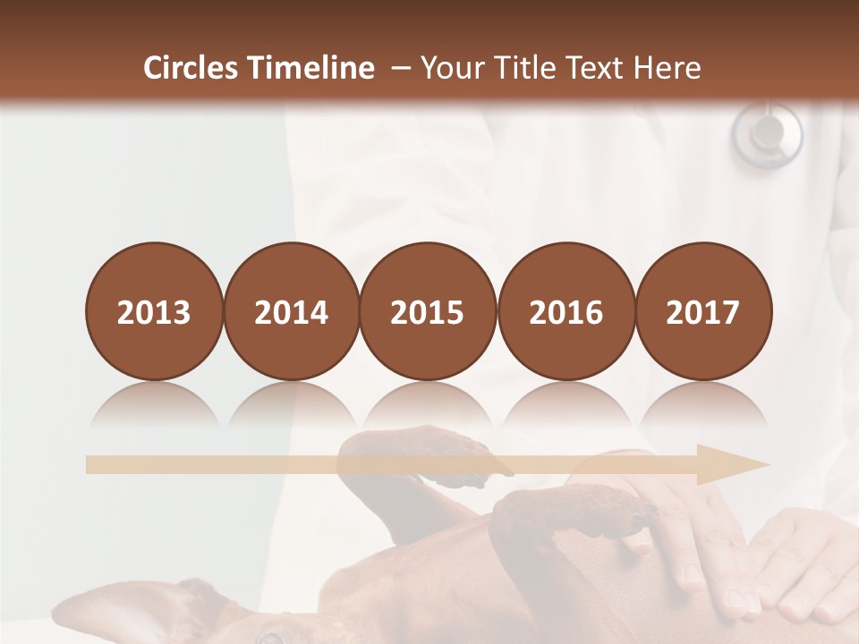 Vet Pet Man PowerPoint Template