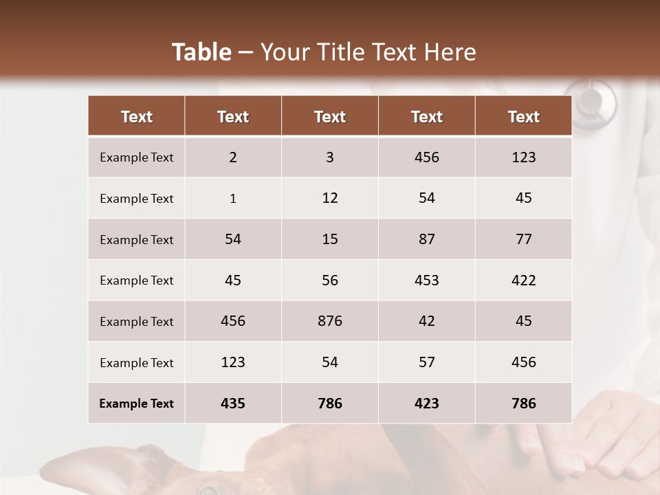 Vet Pet Man PowerPoint Template